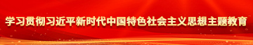 美女被cao性巴克学习贯彻习近平新时代中国特色社会主义思想主题教育